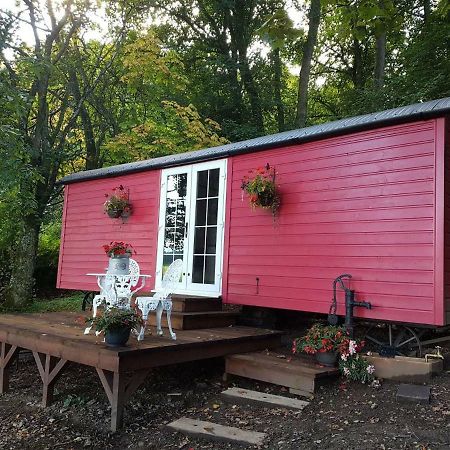 Borthwickbrae Shepherd'S Hut Hawick Buitenkant foto